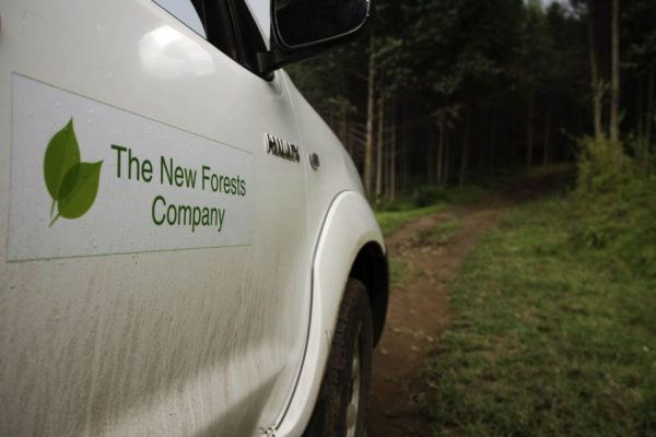 New forests Company