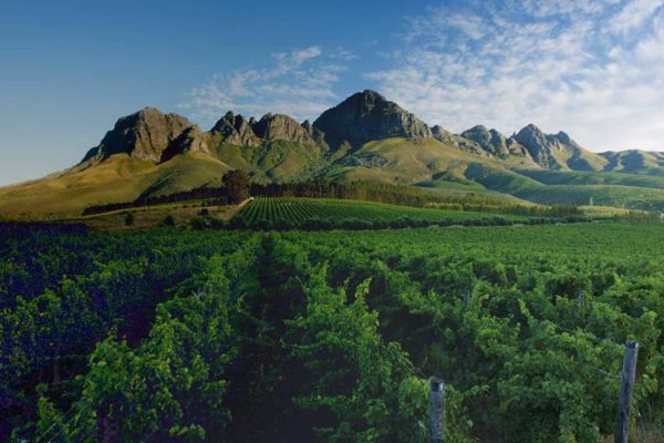Lourensford Vineyards