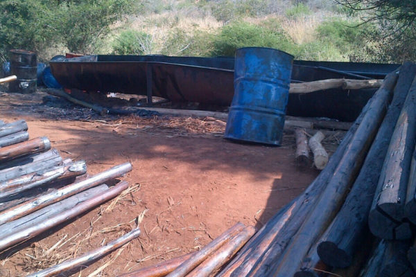 illegal timber treaters