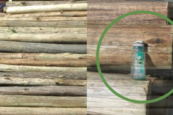 illegal timber treaters