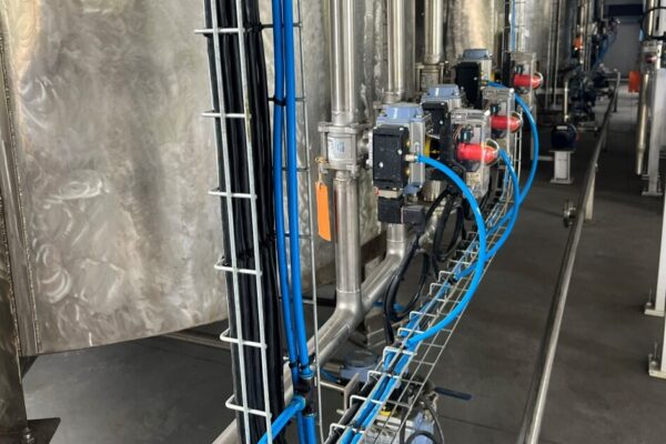 Dolphin Bay automated factory in Sabie